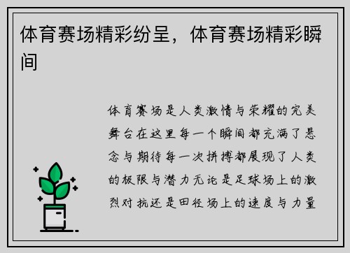体育赛场精彩纷呈，体育赛场精彩瞬间