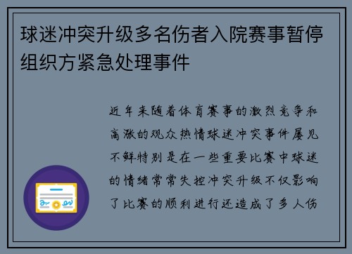 球迷冲突升级多名伤者入院赛事暂停组织方紧急处理事件