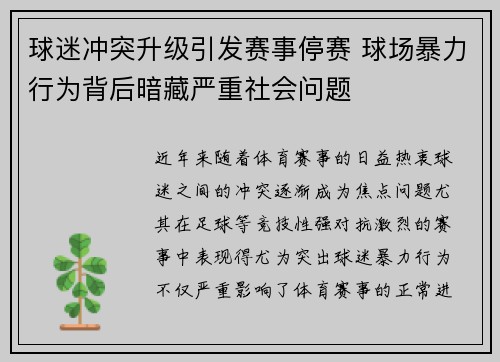 球迷冲突升级引发赛事停赛 球场暴力行为背后暗藏严重社会问题